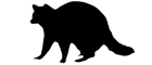 ser_raccoon