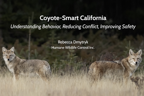 coyote-smart-ca